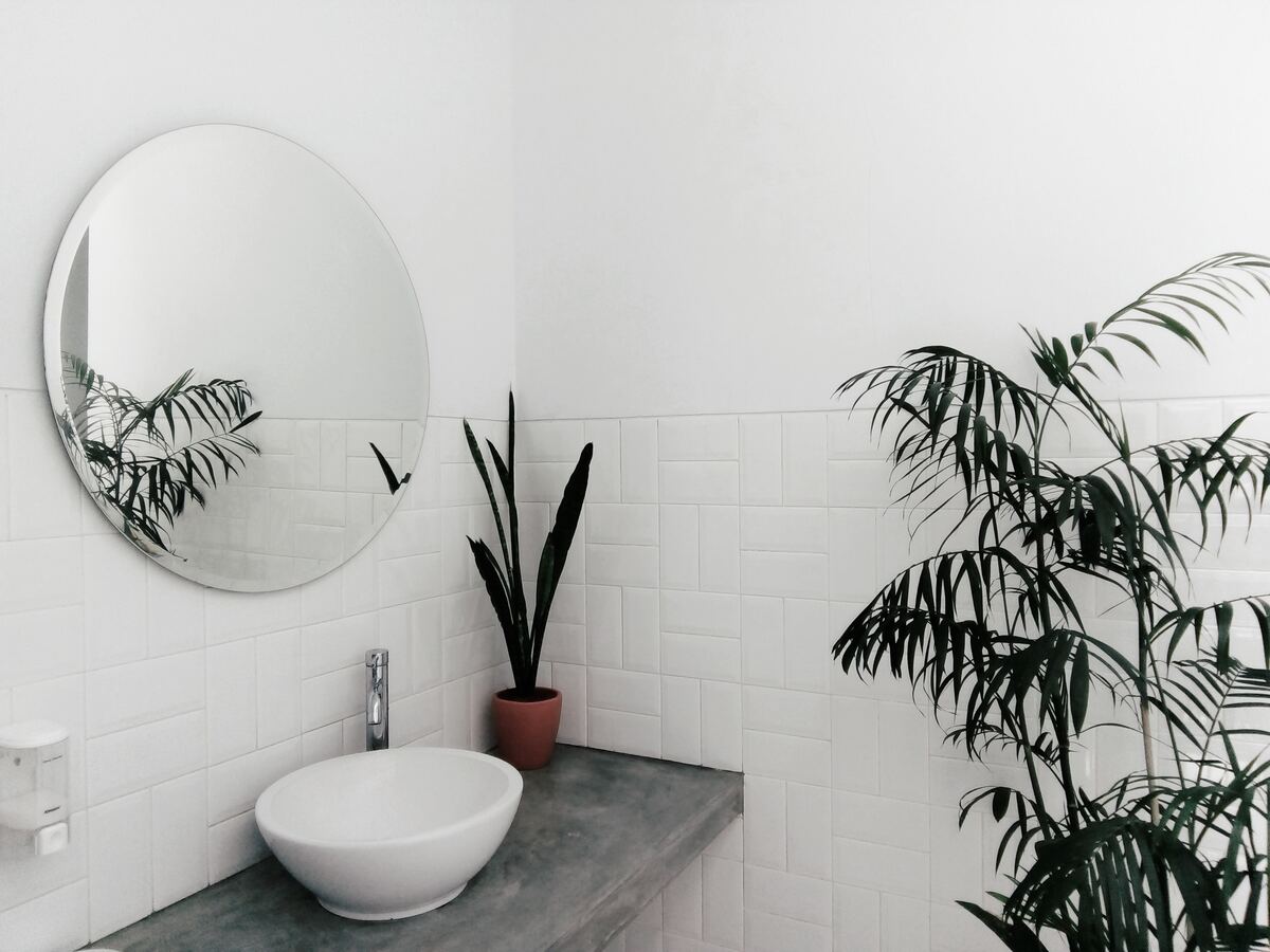 plants in a bathroom, shower room ideas