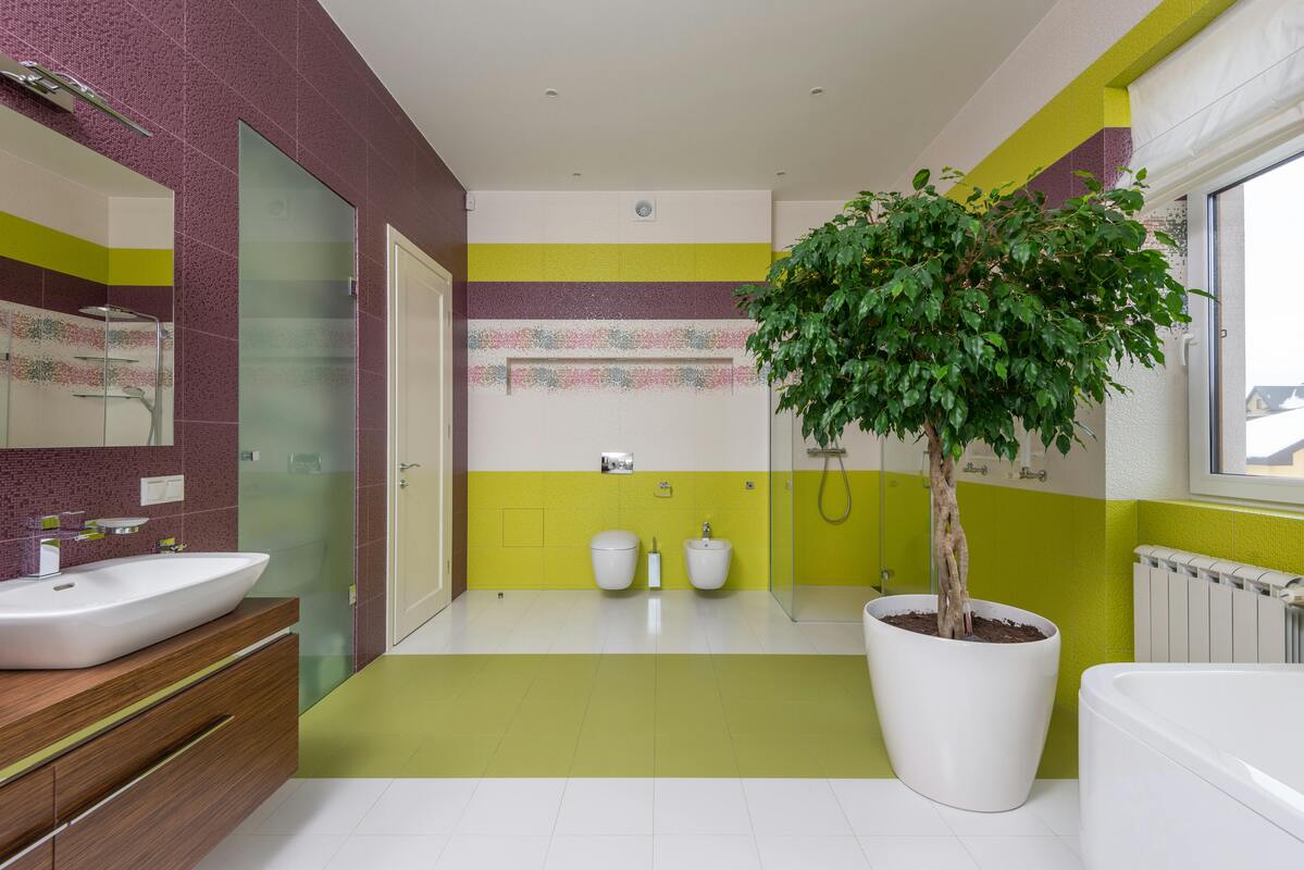 bathroom colour ideas